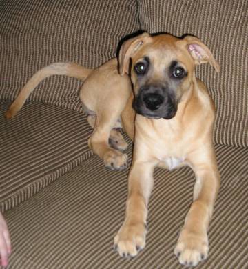 Relaxing on the Couch!
