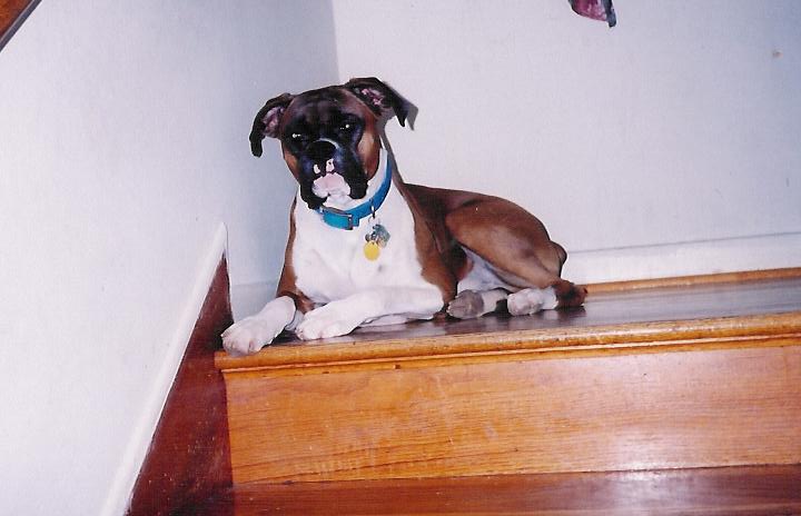 Relaxing on the steps.