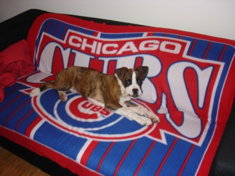 RELAXING WATHCING THE CUBS GAME