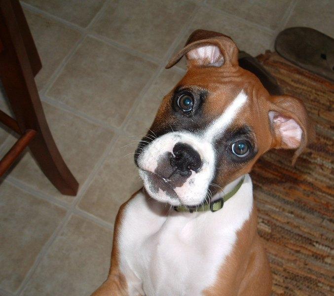 Remi-baby