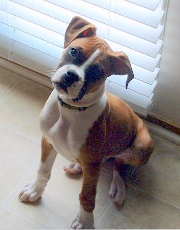 remi-baby2