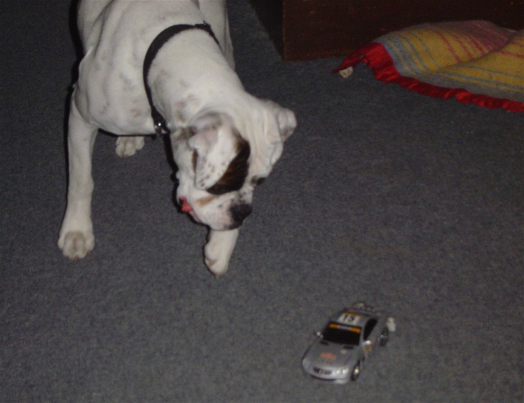 Remote control car
