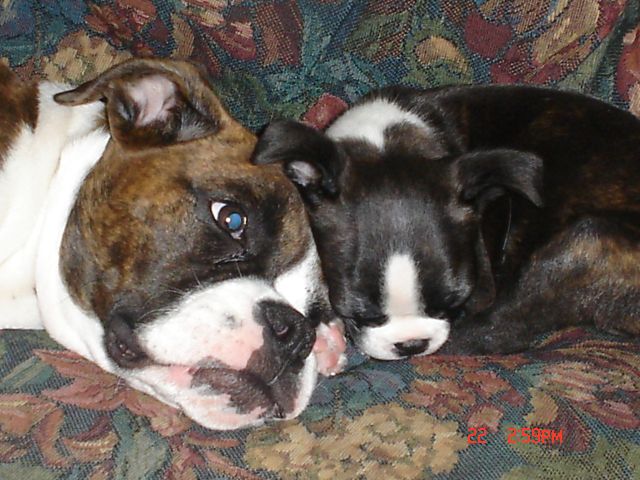 Remy and Kilo
