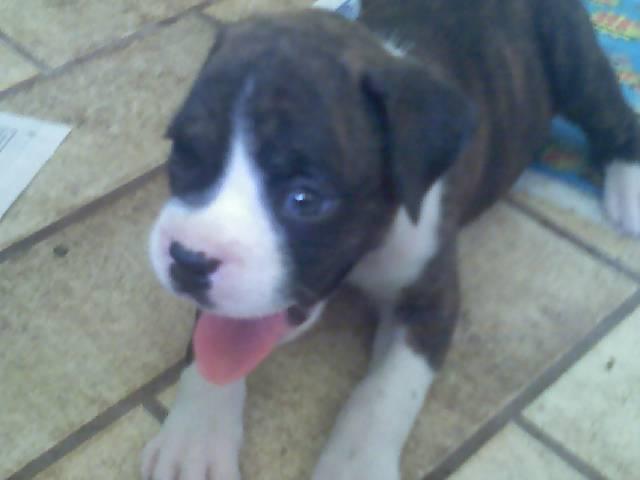 Remy