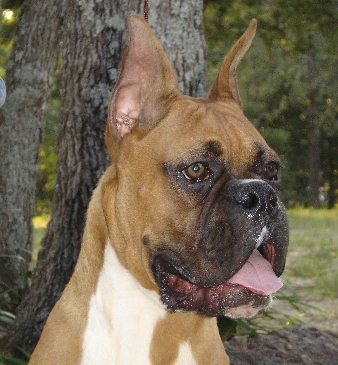 Reno at 7 months