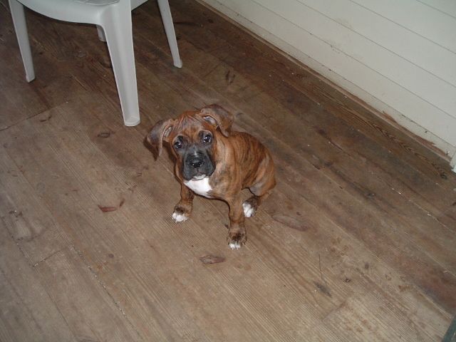 reno_porch