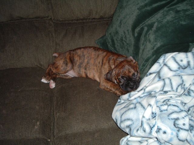 Reno's first day home
