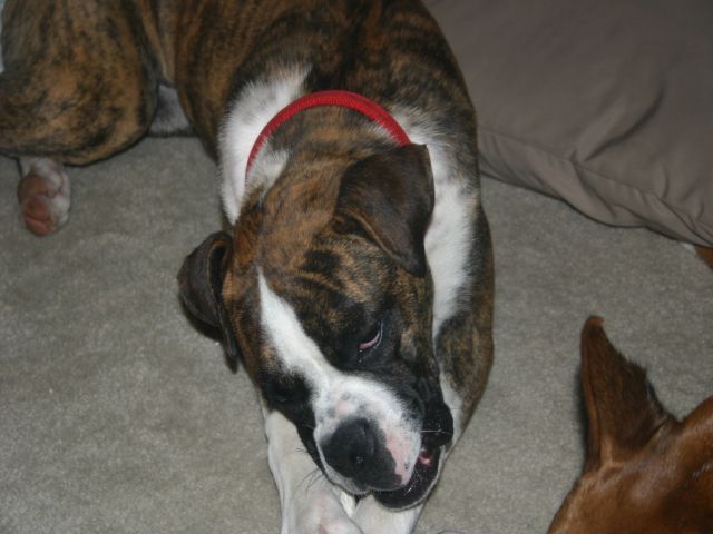 Rescue girl