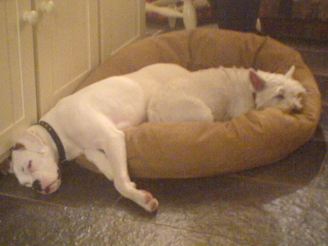 rest time with my play partner