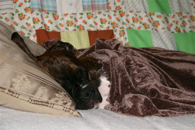 Resting after a hard day's work....