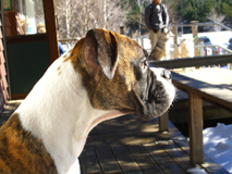 Resting after a long Hike