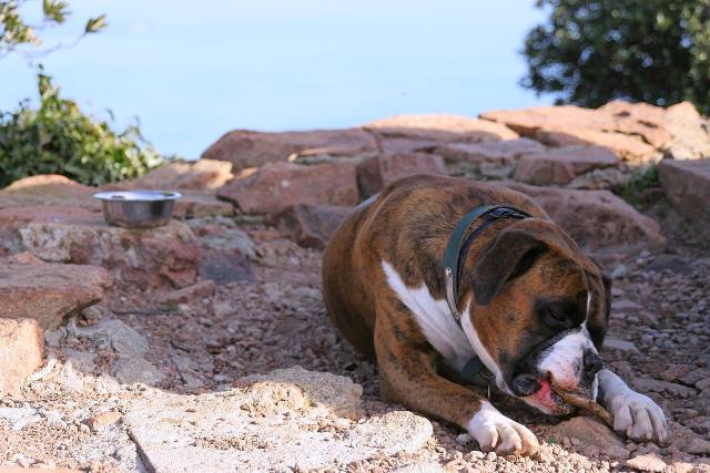 Resting at the summit