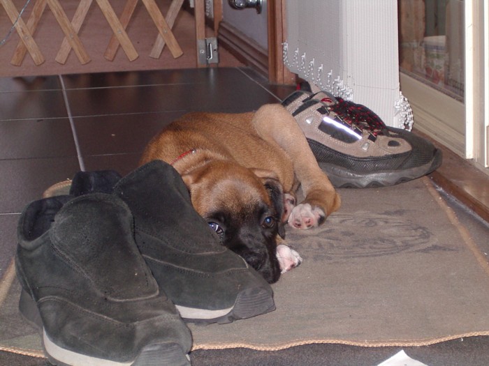 resting in his favorie spot