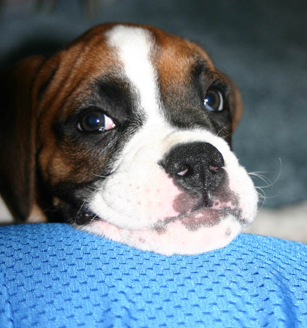 resting on mom's leg