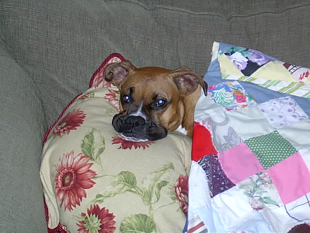 Resting