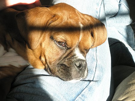 resting1