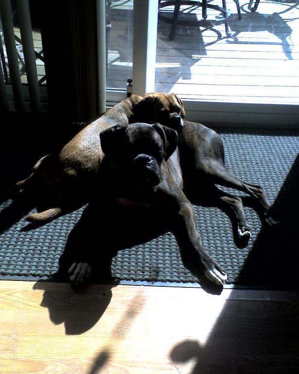 resting2