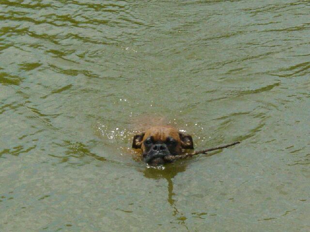 Retrieving