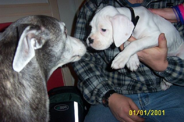 rev_meets_blue
