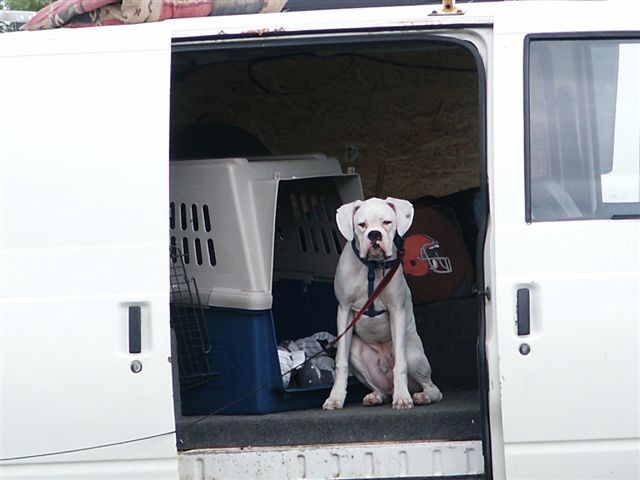 rev_van