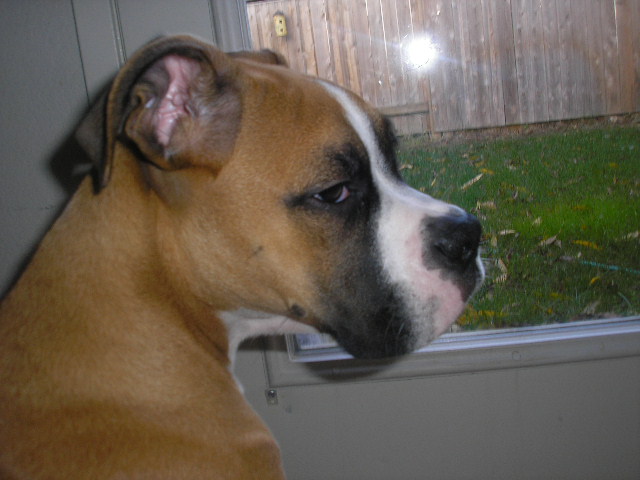Revan 11/19/2006