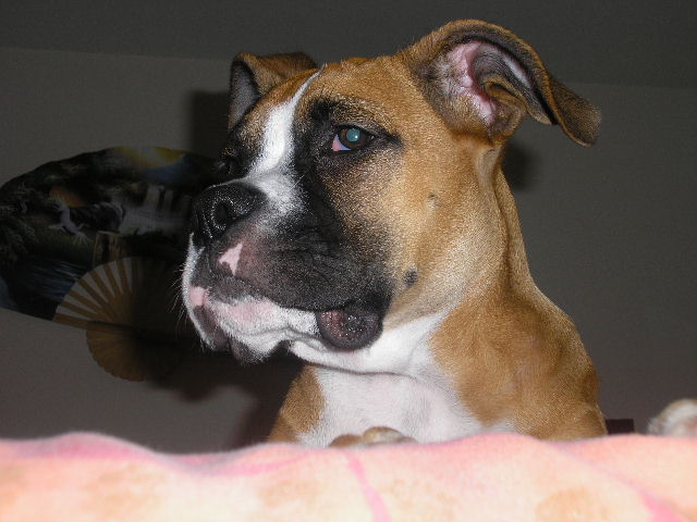 Revan 11/20/2006