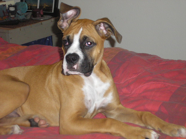 Revan 11/20/2006