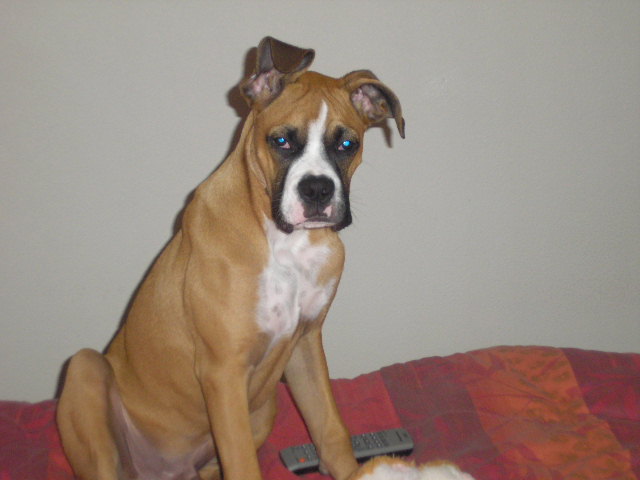 Revan 11/20/2006