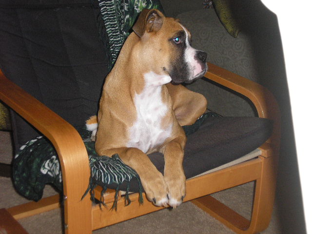 Revan 11/27/2006