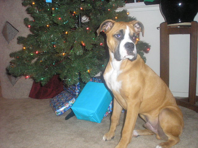 Revan 12/07/2006