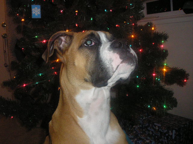Revan 12/07/2006