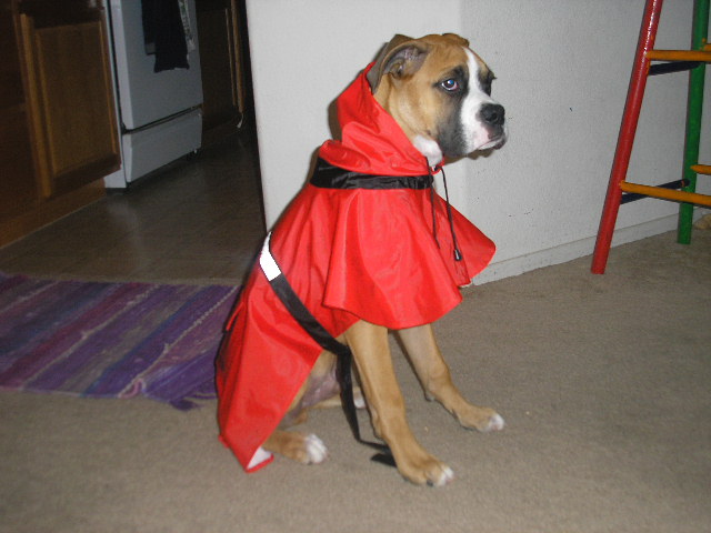 Revan 5 months old