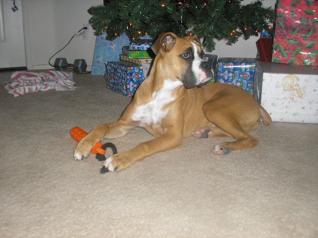REVAN 6 MONTHS