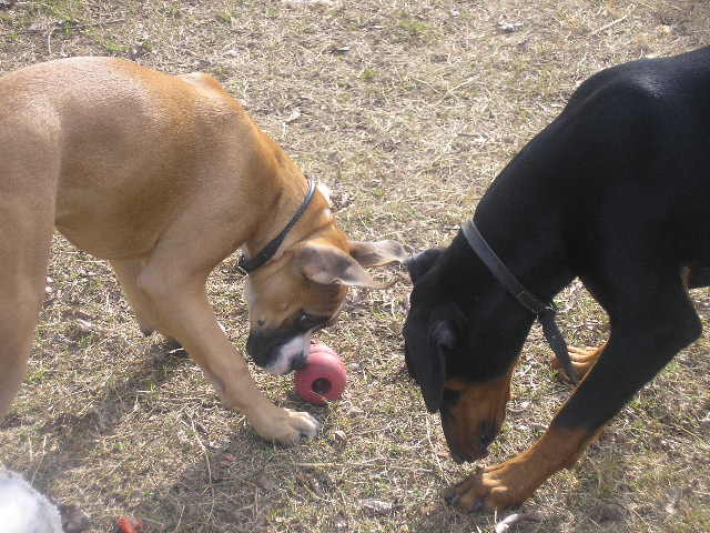 Revan & Fletch 11/19/2006