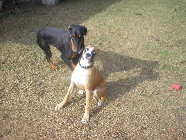 Revan & Fletch 11/19/2006