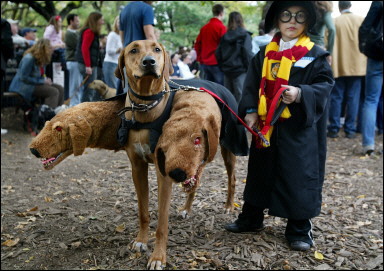 Ridgeback