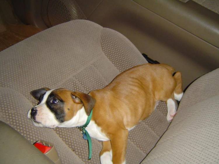 Riding in the car