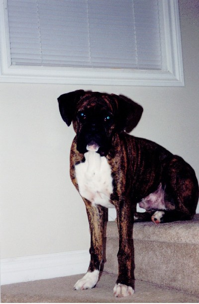 Riggs almost 6 months