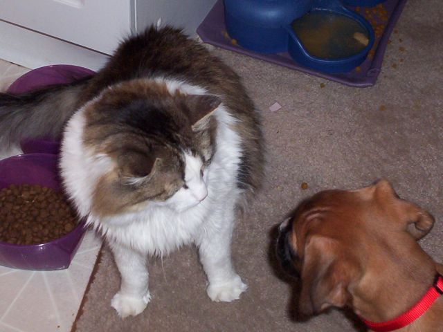 Riley and her sister Macy