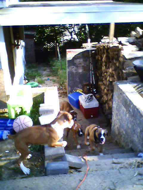 Riley and his brothers