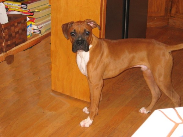 Riley at 6 months