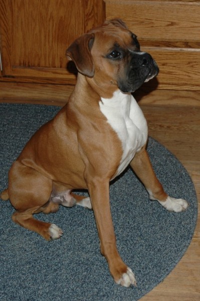 Riley at 7 mos