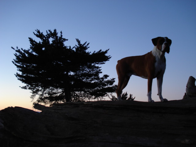 Riley at Douglas preserve