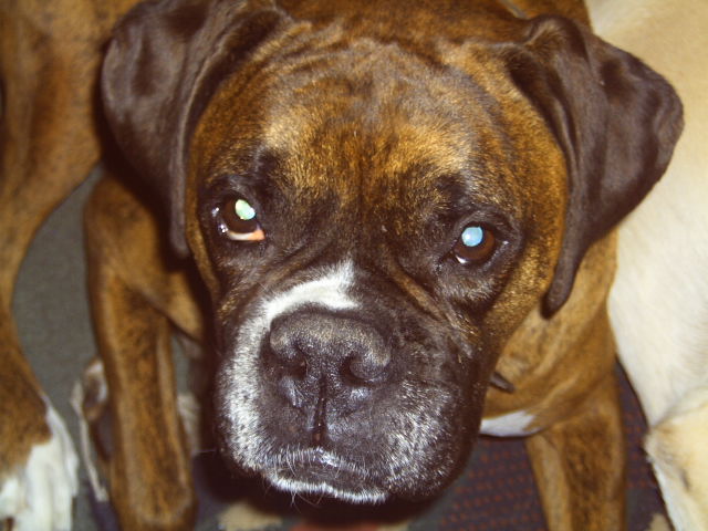 Riley