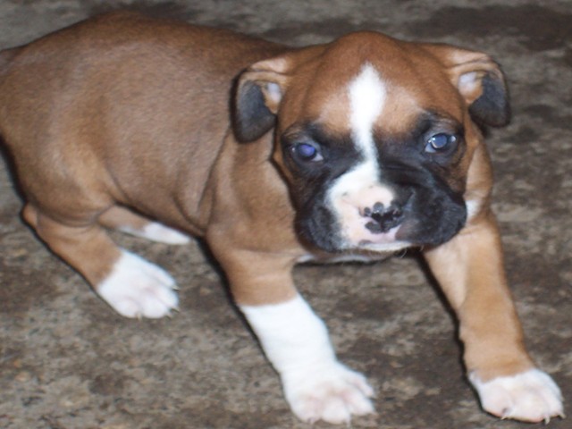 Riley