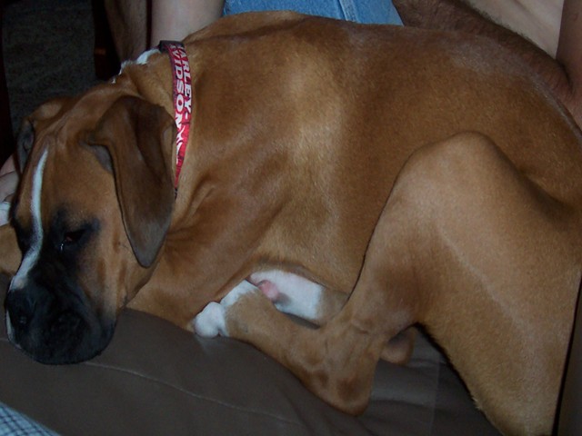 Riley1