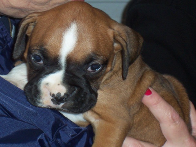 Riley_4_weeks