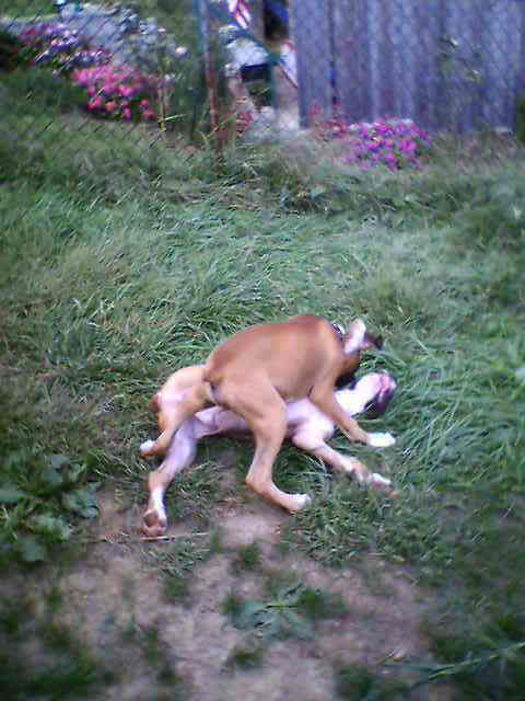 Riley_and_his_brother
