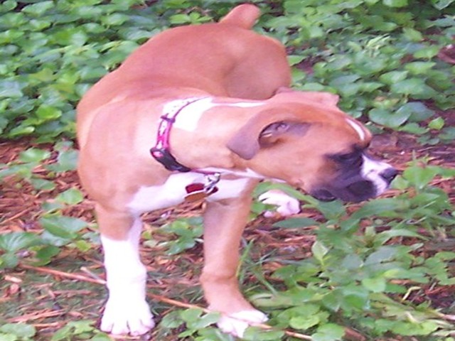 Riley_Five_Mos
