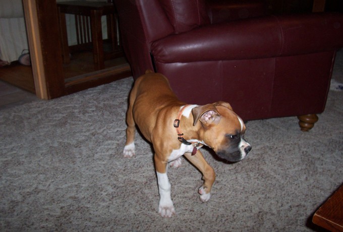 Riley_Growing_Big_